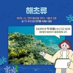 같은 듯 다른 해조류·해초류 차이점은?
