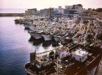 경주 수산업을 책임지고 있는 감포항