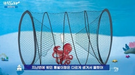 통처럼 생긴 통발로 유인 '연안통발어업'