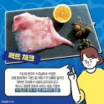 넷플릭스 인기작 수리남 속 홍어 실제로 있을까?