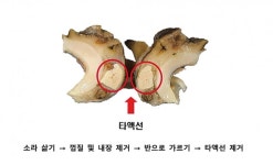 쫄깃함이 일품 소라? 실제는 고둥류