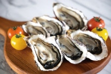 겨울철 미각을 자극하는 바다향 대구·굴