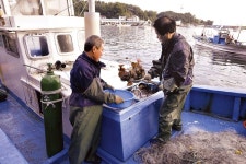 외모 보고 놀란 가슴 맛보고 더 놀랄 삼세기·쑤기미·고무꺽정이