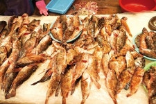 잡어라 놀리지 마라 매운탕은 우리가 한 수 위