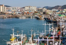 2023년 전라남도 수산정책보험 지방비 지원 대폭 확대