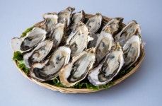 찬바람과 함께 돌아온 바다의 우유 굴