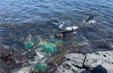 제주도, 2023년 우수어촌계 수산종자 방류 지원