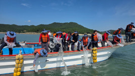 신안군수협, 낙지 수산종자 방류 실시