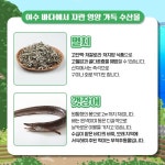 올 봄엔 여수 밤바다~… 낭만과 미식, 온기 가득한 남해안 미항