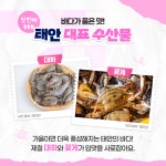 발길 닿는 구석구석, 서해의 가을을 품은 충청남도 태안 여행