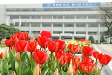 어린이날, 군포시 어린이도서관으로 놀러 오세요