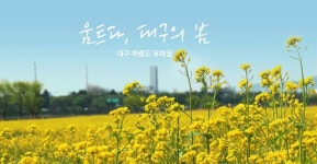 대구시, 2018년 지역웹툰캠퍼스 조성 및 운영 공모 선정