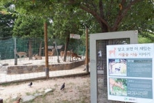 주말 아이들과 가볼만한 곳으로 생태숲, 한강공원, 물놀이장 등이 있는 주말 나들이 추천지 ⑥ 서울숲 테마파크