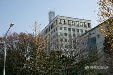편식 솔루션을 담은 어린이 영양교육 동화책 채소 마을 콩 대장 출간