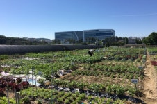 성남시민농원 실버텃밭 신청하세요