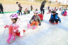 아이와 가볼만한 곳, 서초구 양재천에 얼음썰매장 운영