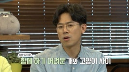 [EBS 고양이를 부탁해] 나응식 수의사 견묘지간 화합을 위한 솔루션 대 공개