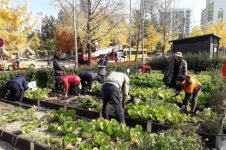 텃밭 가꾸기 노원 생태 도시농부학교