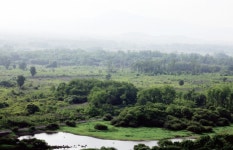 문화체육관광부, 비무장지대(DMZ) 평화관광 정책 포럼 개최