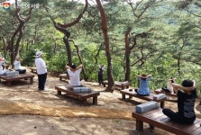 서울 봄나들이 장소 추천 남산 소나무 힐링숲, 노을가족캠핑장, 월드컵공원 파크골프장