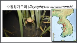 대전교육과학연구원 우리는 왜 탐험을 해야 하는가? 금요일에 과학터치 강연
