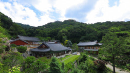 [EBS 한국기행] 여름 냉국기행 경북 문경 산사 윤필암, 공곡스님의 연잎밥과 우무냉국