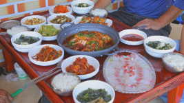 [EBS 한국기행] 전남 보성 장도, 독인인 셰프 다리오와 함께 장도 맛집 탐방