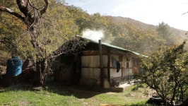 [EBS 한국기행] 지리산에서 홀로 수행 중인 스님의 가을은?