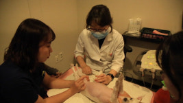 [EBS 극한직업] 반려견·반려묘 등 반려 동물병원 응급실, 애견훈련소, 수의사 정인성 원장 등이 소개된다.