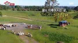 집사부일체 뉴질랜드 사부는 누구? 이상윤·이승기·양세형·육성재 뉴질랜드 가다!