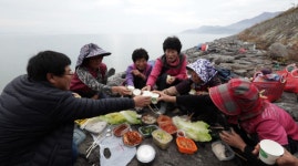 [EBS 한국기행] 전남 보성의 벌교 갯벌에서 먹는 들밥, 어머니의 청국장 맛은?