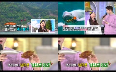 [삼천포여자고등학교] 제984회 도전 골든벨, 삼천포여고 편 KBS1 방송