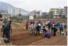 도시농부 텃밭 가꾸기, 도시농업전문가 개별 배치 2020년 향림도시농업체험원 내 텃밭 분양