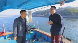 [EBS 한국기행] 매화 꽃 필 무렵 광양 망덕포구, 벚굴, 정토사 법진스님, 매화꽃 차를 찾아서