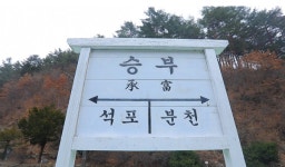 [EBS 한국기행] 승부역의 냉이, 달래, 씀바귀 할머니의 봄