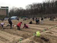 도봉구청, 도시농업 참여 도시텃밭 가꾸기 교육 제공 친환경 나눔텃밭 개장