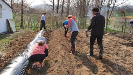 여주 문장초등학교, 학교텃밭을 활용한 자연생태교육 준비