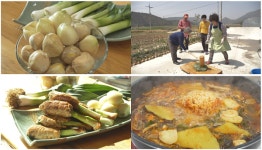[한국인의 밥상] 칠봉마을 울금·코끼리마늘·웅녀떡·전복펑펑이떡·개똥쑥훈연오리 봄날 면역 밥상 속으로