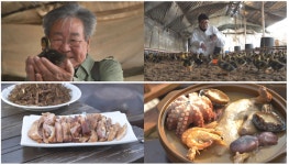 [한국인의 밥상] 칠봉마을 울금·코끼리마늘·웅녀떡·전복펑펑이떡·개똥쑥훈연오리 봄날 면역 밥상 속으로