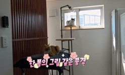 [3일 EBS2 편성표] 매일10분영어, 미스터리식당Q, 과학할고양, 수학의원리, 미래교육플러스