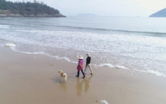 [EBS 한국기행] 고립낙원 동소우이도의 마세정원, 폐교를 개조한 교실서재와 관사에서 부부는 행복을 말한다!