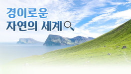 [9일 EBS2 편성표] 경이로운 자연의 세계, 스쿨랜드(과학·예술), 명령이다, 비트!, EBS 초대석