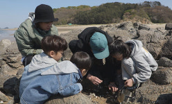[EBS 한국기행] 섬 동소우이도, 울릉도의 연하정·학포마을·명이나물·석포마을카페, 욕지도와 무인도를 가다!