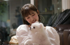 [EBS 세상에 나쁜 개는 없다] 오 마이 걸의 막내 반려견의 우울증을 해결하라! 수레이너 설채현의 솔루션은?