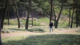 [김영철의 동네 한 바퀴] 수원시 팔달산 효원의 종·해우재·노송지대·광교호수공원을 찾아서