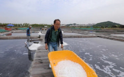 [EBS 한국기행] 이상벽과 함께 시흥에서 인생 3막 소래산, 마애상, 도일시장, 내만갯벌 염전터 탐방