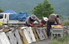 [EBS 극한직업] 꿀 찾아 삼만리 경북 상주의 양봉원, 20년 베테라 부부와 삼남매의 꿀 수확현장
