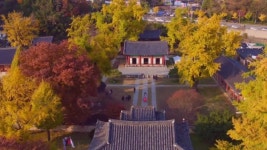 전주 가볼만한 곳, 전주시청, 전주수목원·전주향교·만경강 등 자전거 타고 전주 나들이길 8선 제작