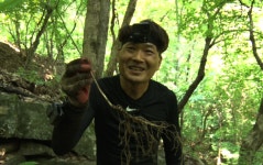 [EBS 극한직업] 경북 문경 절벽에서 경력 19년 베테랑 약초꾼의 산삼을 찾아서