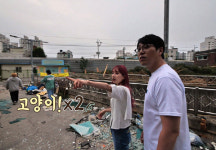 [EBS 고양이를 부탁해] 우주소녀 설아, 동대문구 이문동 고양이 구조 작업 나서!